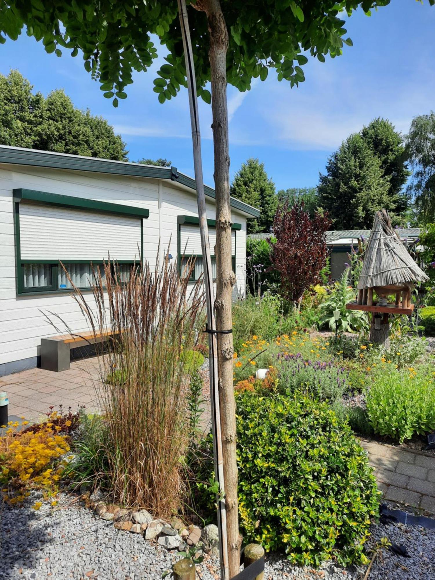 Chalet M & J Heel Exterior foto
